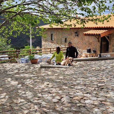 Refugio Dos Cartolas São Mamede de Infesta Kültér fotó