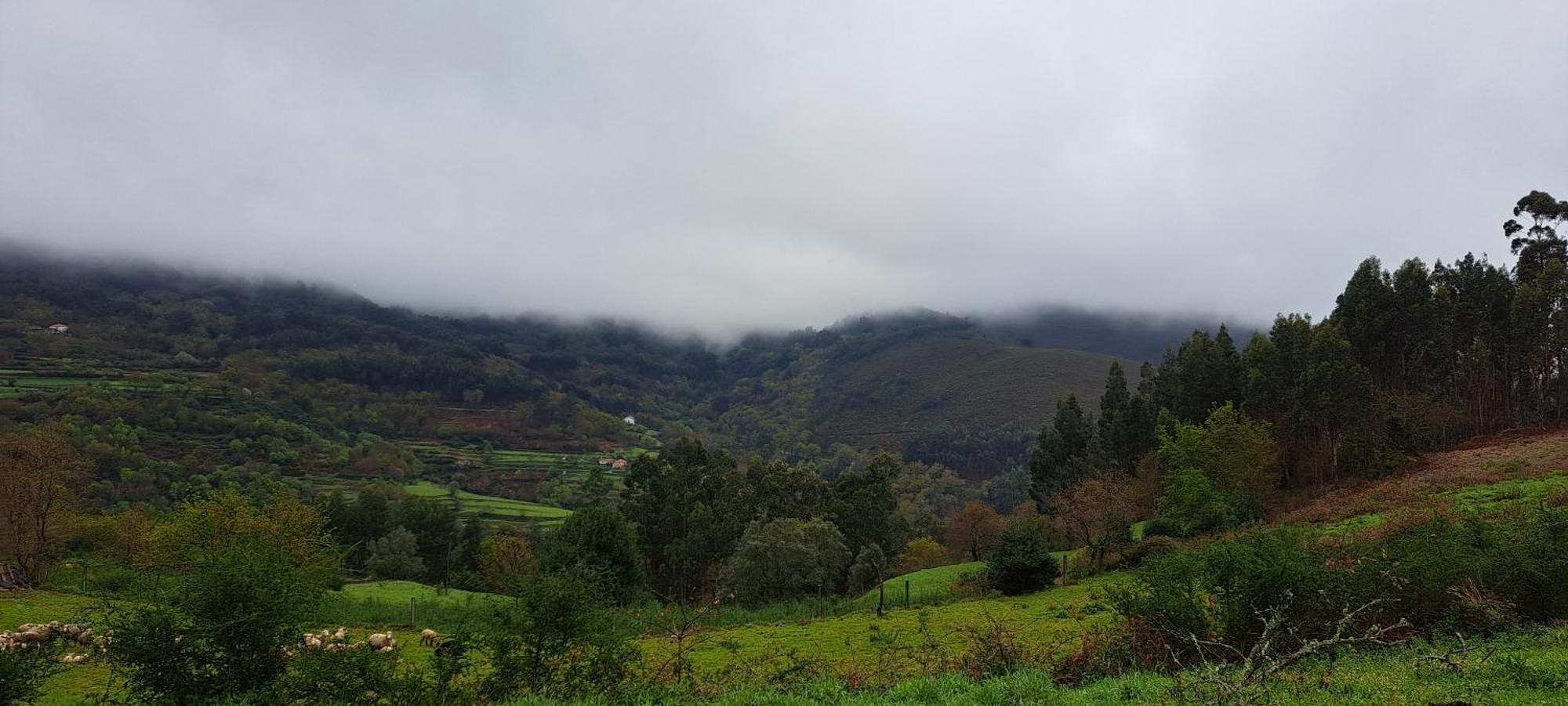 Refugio Dos Cartolas São Mamede de Infesta Kültér fotó